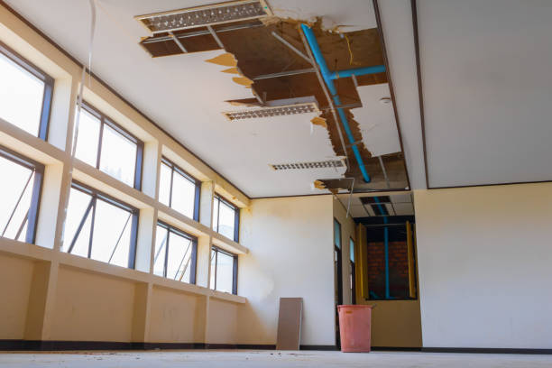 Best Flooded house restoration  in Wellton, AZ