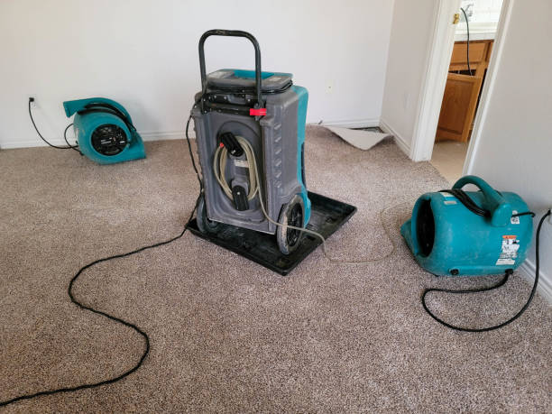 Best Carpet water damage restoration  in Wellton, AZ
