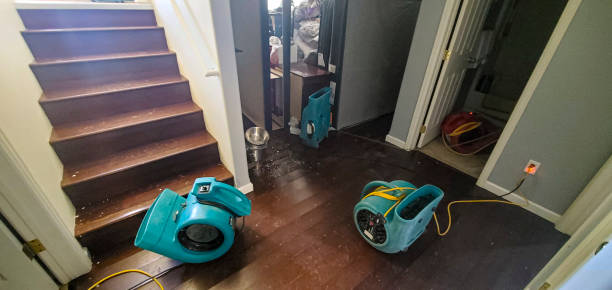 Reliable Wellton, AZ Water damage restoration Solutions
