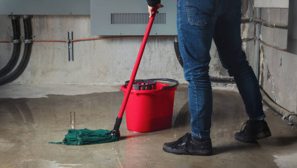 Trusted Wellton, AZ Water damage restoration Experts