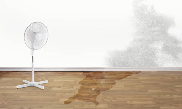 Best Residential water damage restoration  in Wellton, AZ