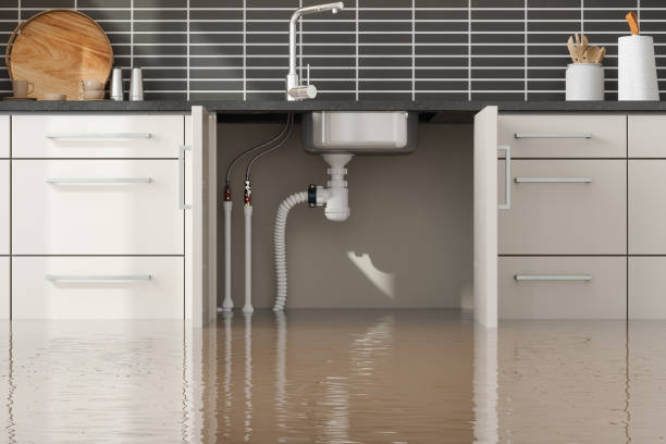 Best Ceiling water damage repair  in Wellton, AZ