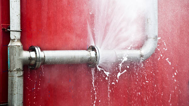 Best Water damage restoration insurance claims  in Wellton, AZ